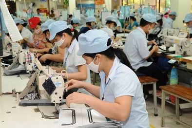 Ngày 10/6 hết hạn xét chọn 'Doanh nghiệp xuất khẩu uy tín năm 2018'
